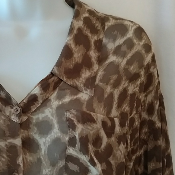 Leopard Print Chiffon Hi-Lo Top - Picture 6 of 7